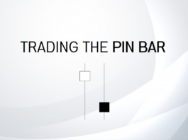 pin bar cover