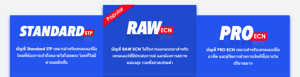 ประเภทบัญชี Vantagefx