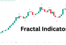 Fractal Indicator