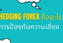 Hedging Forex คืออะไร การป้องกันความเสี่ยง Hedging Forex คืออะไร
