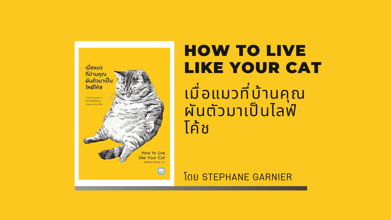 How to Live Like Your Cat