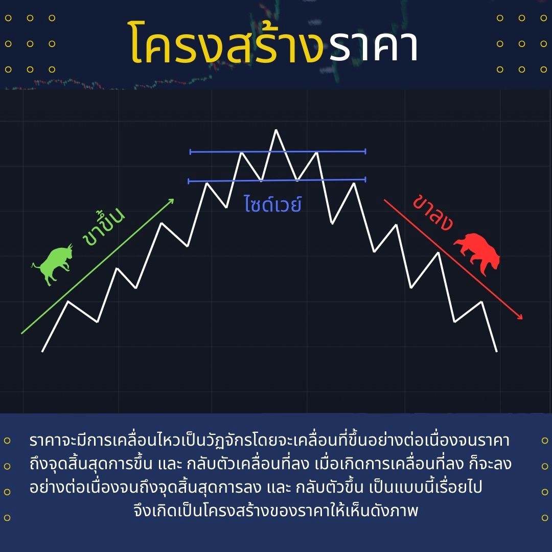 โครงสร้างราคา