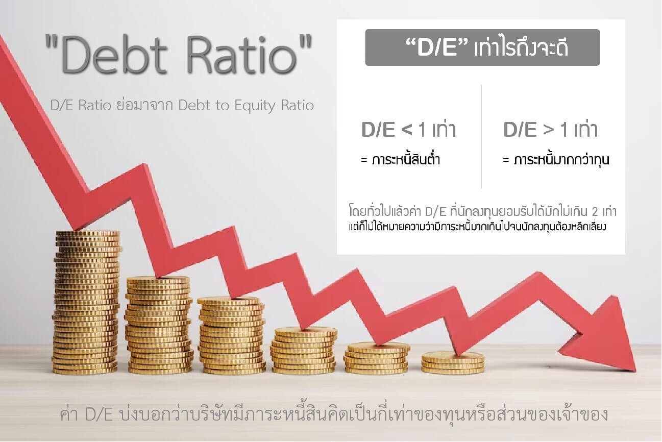 การดูผลของการคำนวณ Debt Ratio