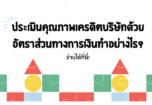 ประเมินคุณภาพเครดิตบริษัทด้วยอัตราส่วนทางการเงิน