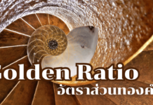 อัตราส่วนทองคำ (Golden Ratio) ความสวยงามแบบสมดุลตามธรรมชาติ