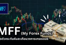MFF คืออะไร? ย้อนรอยการปิดตัว สะเทือนวงการ