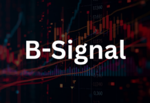 B-Signal : สัญญาณเทรดหุ้นไทย ผลตอบแทนเฉลี่ยปีละ 14.69%